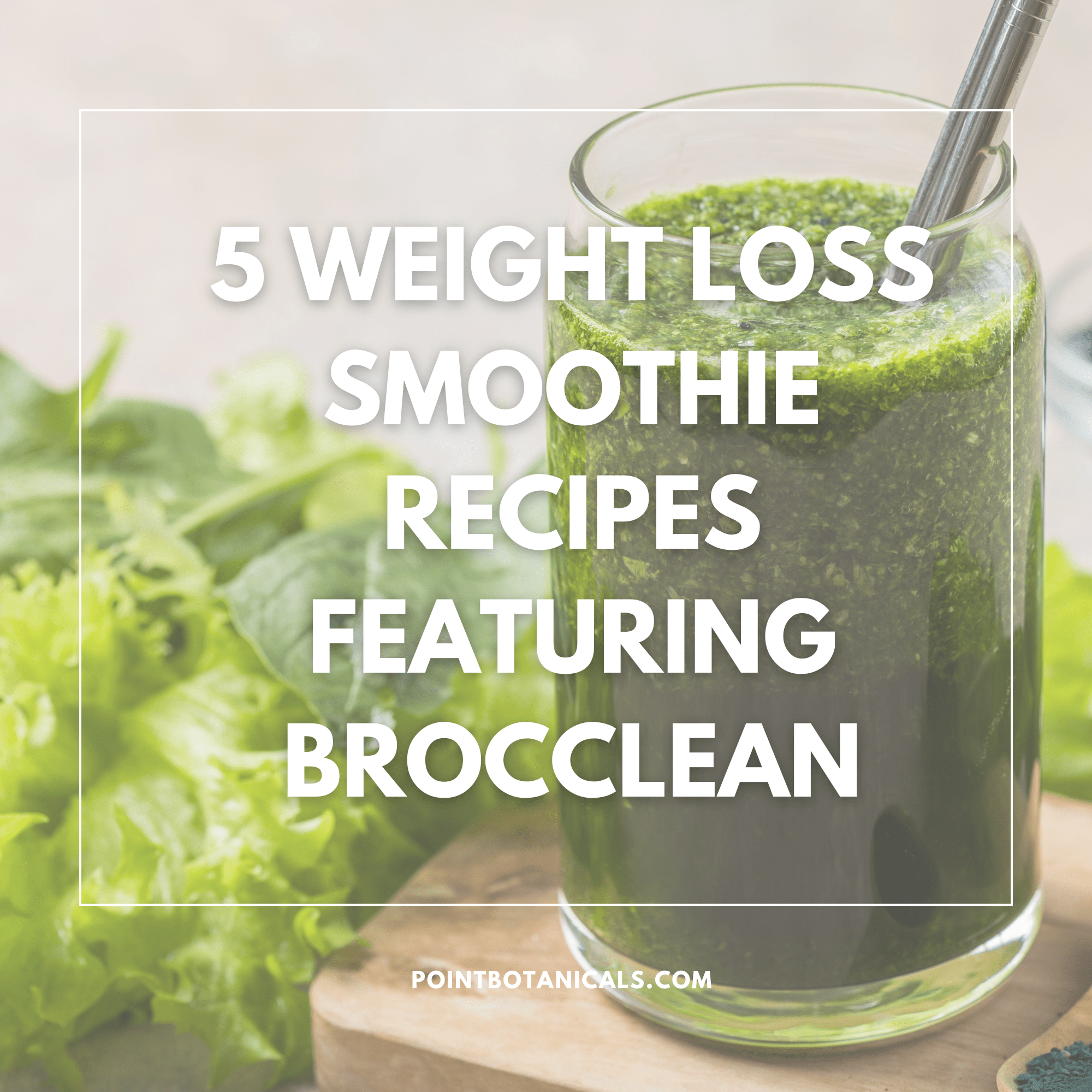 5 Weight Loss Smoothie Recipes - Point Botanicals