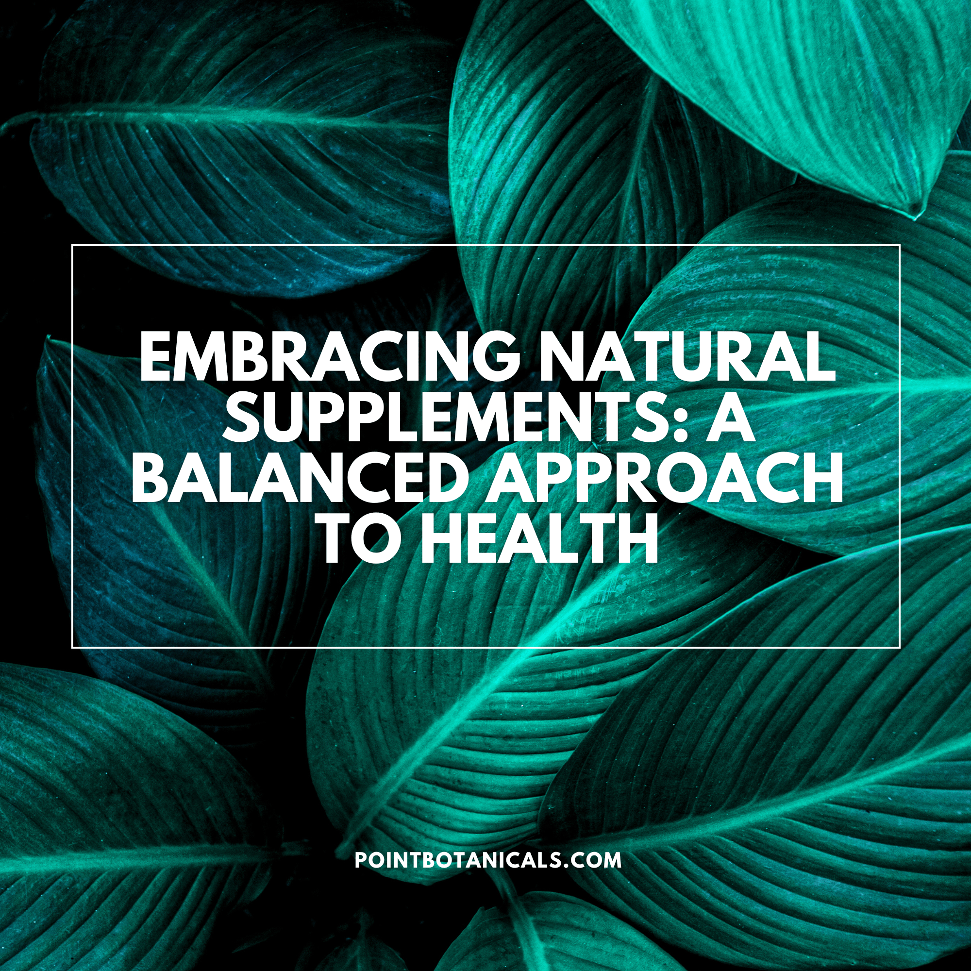 Embracing Natural Supplements: A Balanced Approach to Health - Point Botanicals