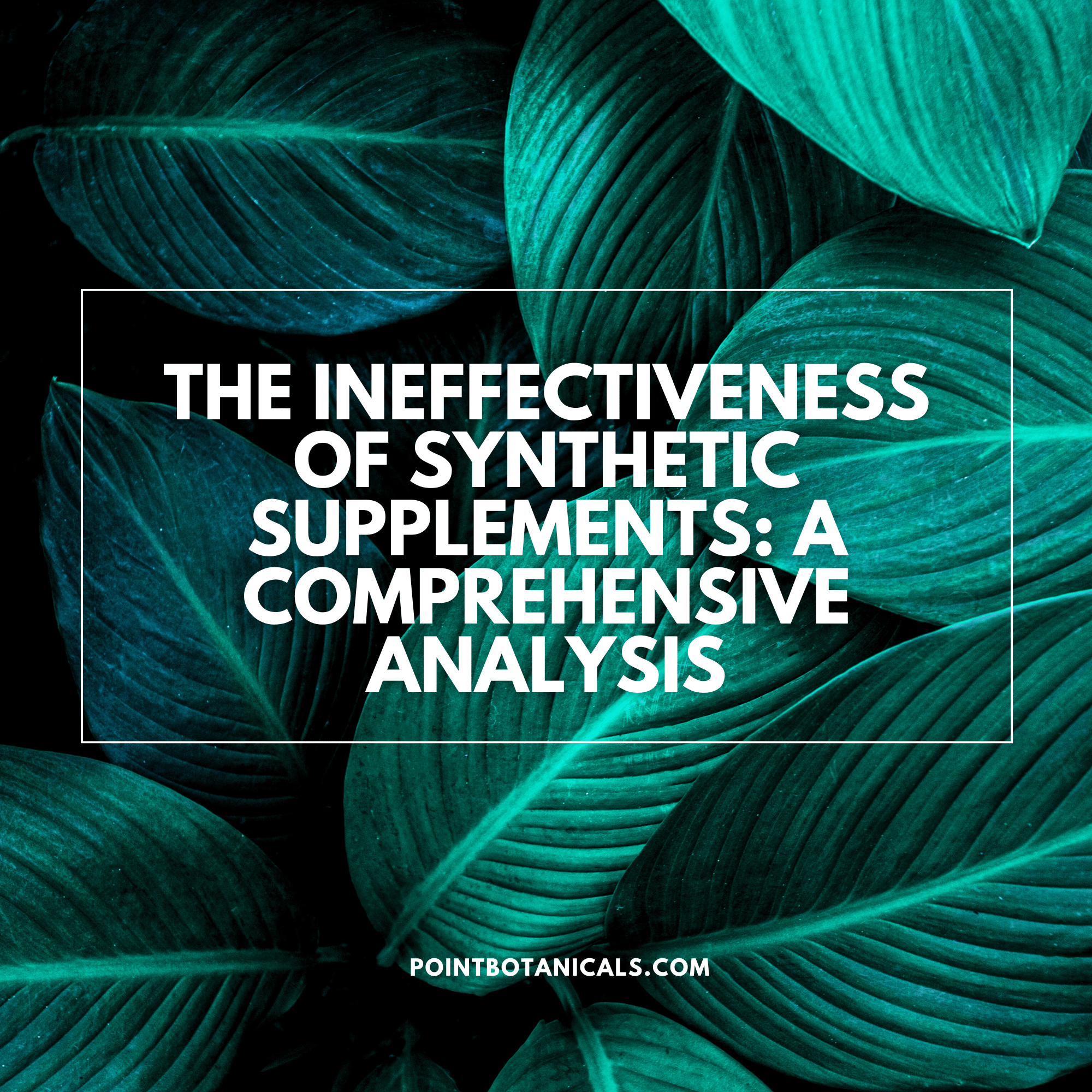 The Ineffectiveness of Synthetic Supplements: A Comprehensive Analysis - Point Botanicals