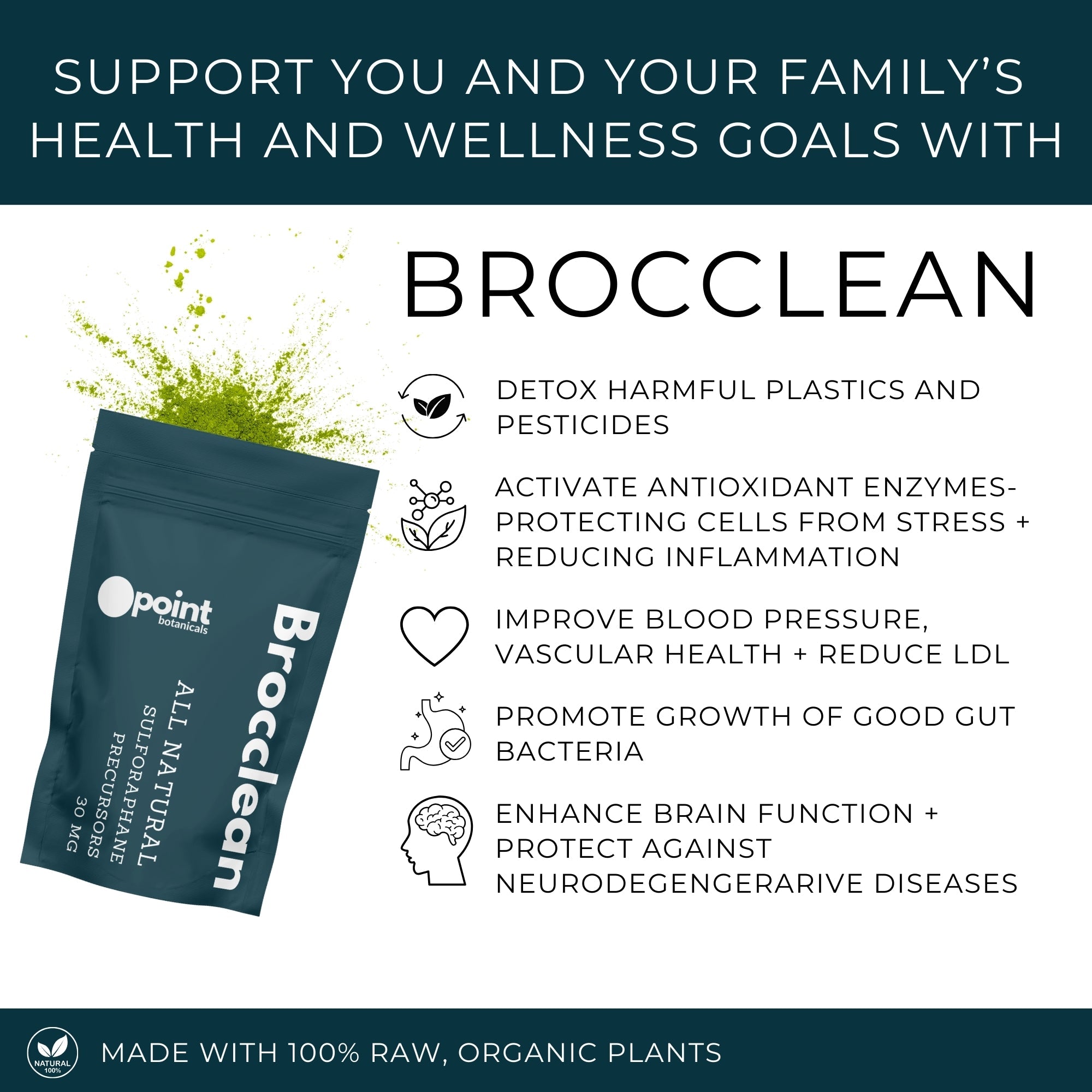 Brocclean™: A Raw Sulforaphane - Powered Supplement for a Healthier You - Point Botanicals - Natural Supplement