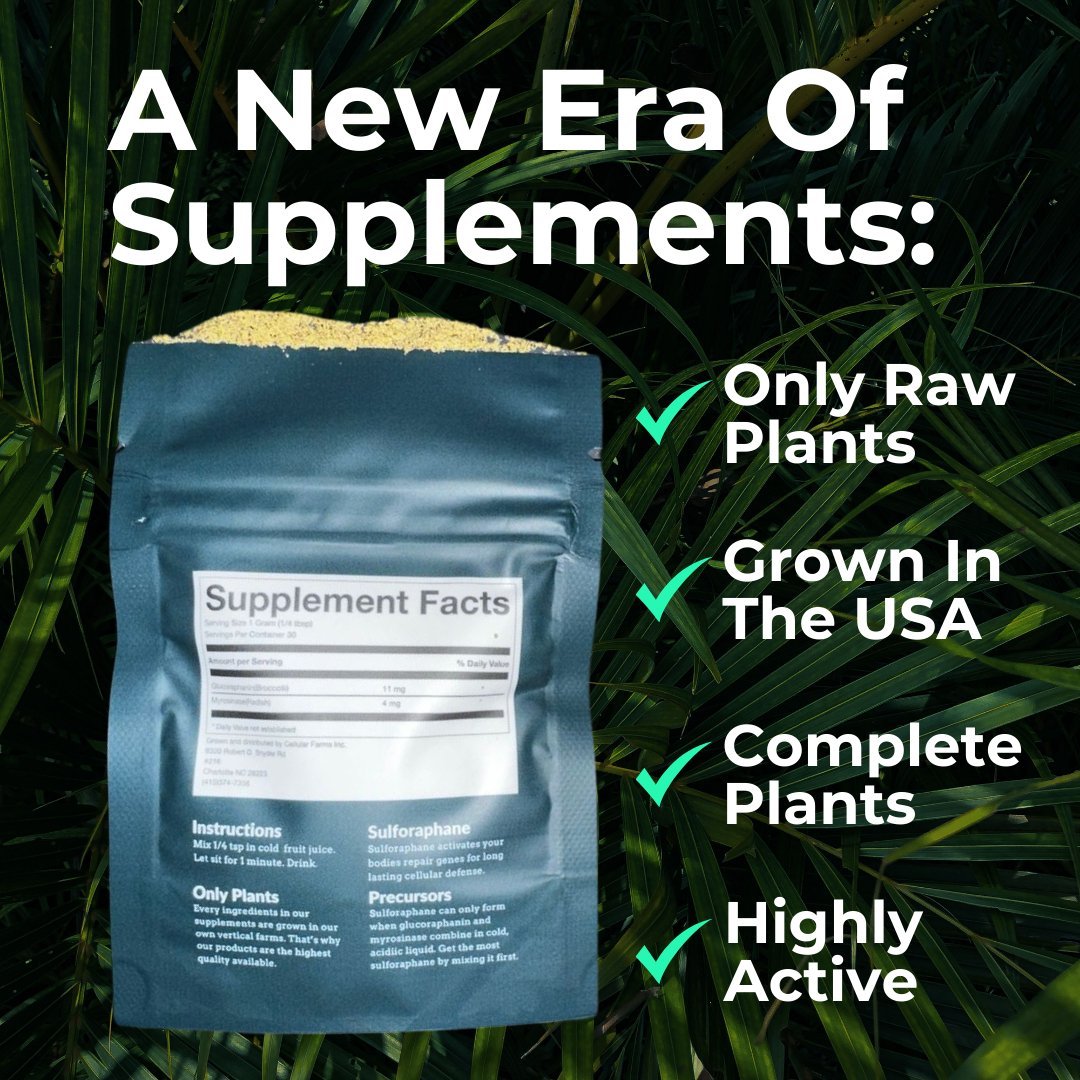 Brocclean™: A Raw Sulforaphane - Powered Supplement for a Healthier You - Point Botanicals - Natural Supplement